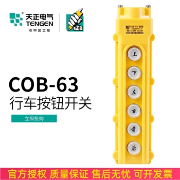 TENGEN天正COB-63 行车按钮开关COB63 起重电动葫芦上下左右前后